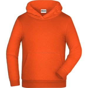 Sweat-shirt à capuche Enfant Daiber 14