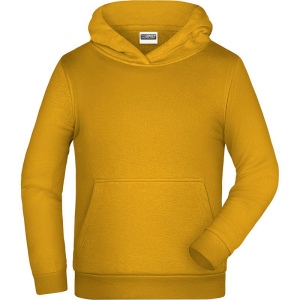 Sweat-shirt à capuche Enfant Daiber 9