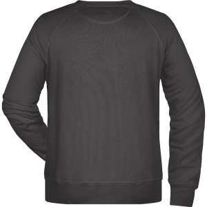 Sweat-Shirt bio Grande taille Homme Daiber 30