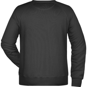 Sweat-Shirt bio Grande taille Homme Daiber 45