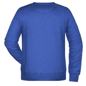 Sweat-Shirt bio Grande taille Homme Daiber 66
