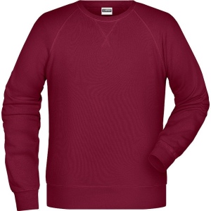 Sweat-Shirt bio Grande taille Homme Daiber 20