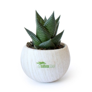 Plante pot céramique aimanté effet bois 2