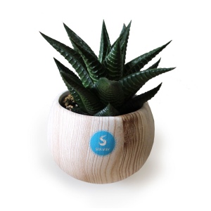 Plante pot céramique aimanté aspect bois