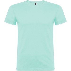 BEAGLE 30