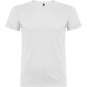 BEAGLE 2