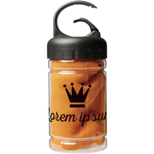 Serviette avec housse en PET Remy 13