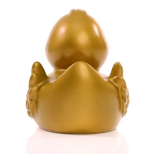 Canard uni MBW 19