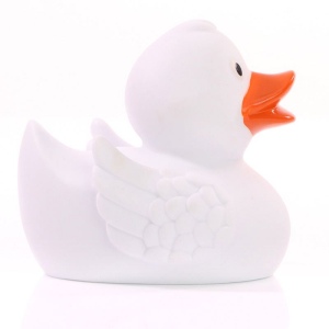 Canard uni MBW 28