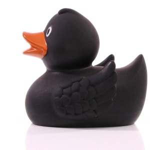 Canard uni MBW 30