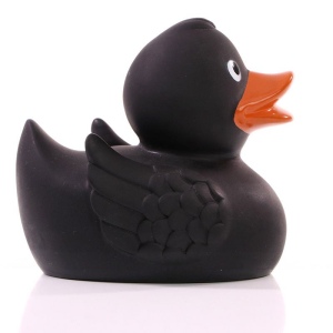 Canard uni MBW 31