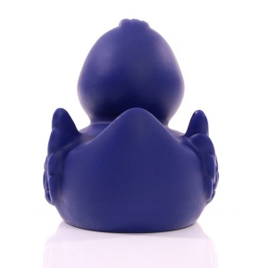 Canard uni MBW 35