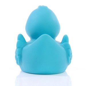 Canard uni MBW 41