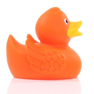 Canard uni MBW 46