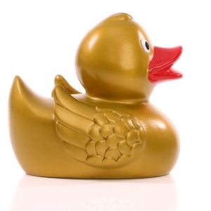Canard uni MBW 21