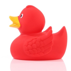 Canard uni MBW 48
