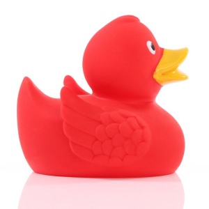 Canard uni MBW 49