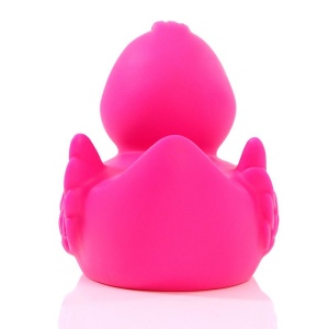 Canard uni MBW 53