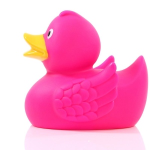 Canard uni MBW 54