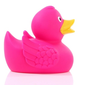 Canard uni MBW 55