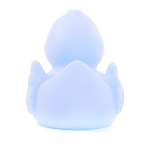 Canard uni MBW 59