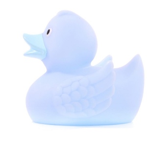 Canard uni MBW 60