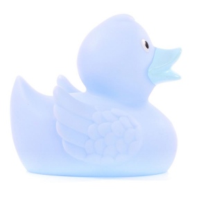 Canard uni MBW 61