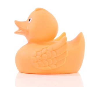 Canard uni MBW 63