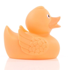 Canard uni MBW 64