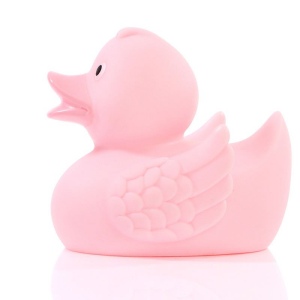 Canard uni MBW 66