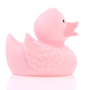 Canard uni MBW 67