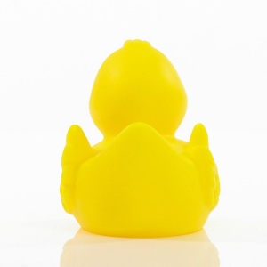Canard uni MBW 23