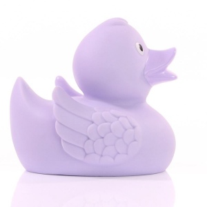 Canard uni MBW 70