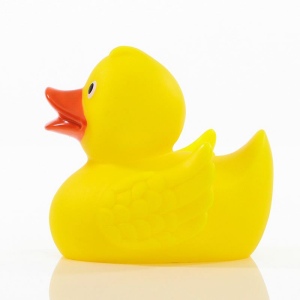 Canard uni MBW 24