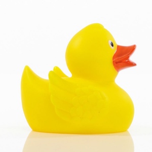 Canard uni MBW 25