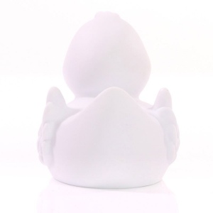 Canard uni MBW 26