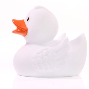 Canard uni MBW 27