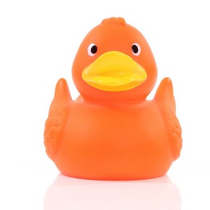 Canard uni MBW 10