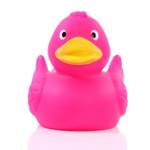 Canard uni MBW 13