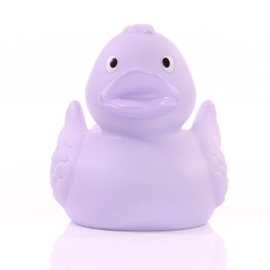 Canard uni MBW 18