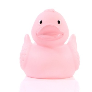 Canard uni MBW 17