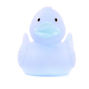 Canard uni MBW 15