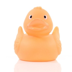 Canard uni MBW 16