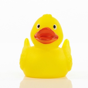 Canard uni MBW 3