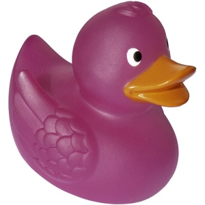 Canard Magique MBW 13
