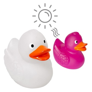 Canard Magique MBW 5