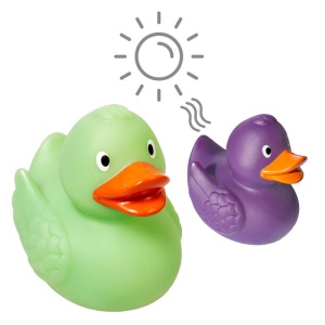 Canard Magique MBW