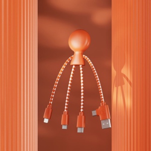 Mr Bio Short - Câble de charge multi-connecteurs Double entrée Type-C & USB 20
