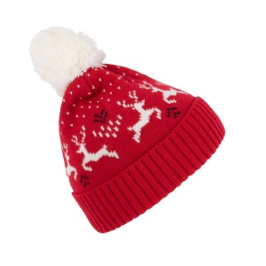 Bonnet de Noël motifs rennes 2