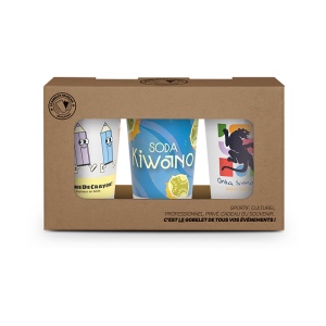 BOITE CARTON AVEC FENETRE POUR 3 OU 6 PICUP30 - MONTAGE COMPRIS 5